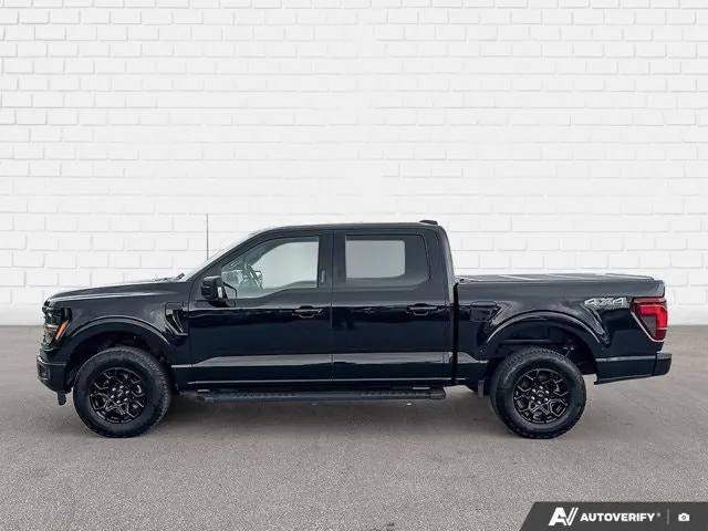 Ford F-150 2024 photo 3