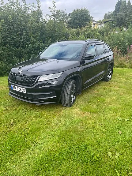 Skoda Kodiaq 2019 photo 2