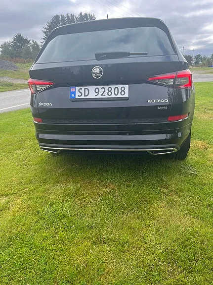Skoda Kodiaq 2019 photo 3