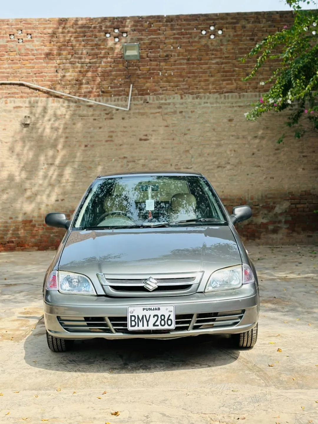 Suzuki Cultus