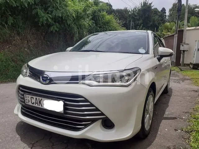 Toyota Axio 2015 photo 3
