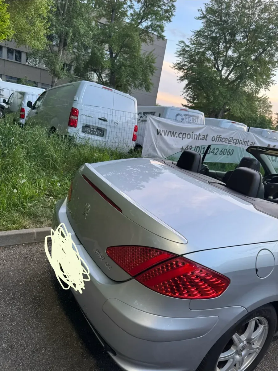 Peugeot 307 2005 photo 3