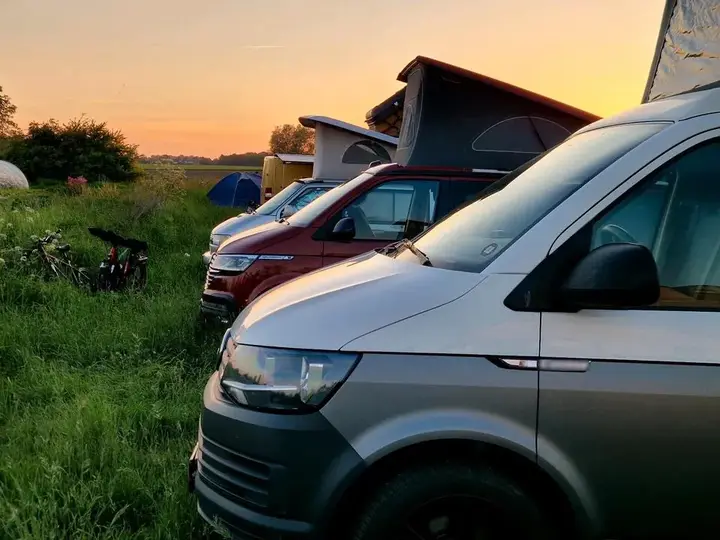Volkswagen T6