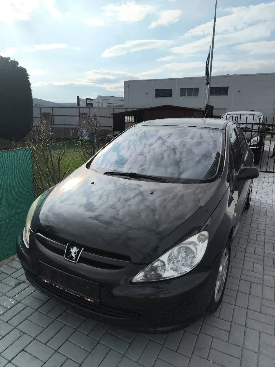 Peugeot 307