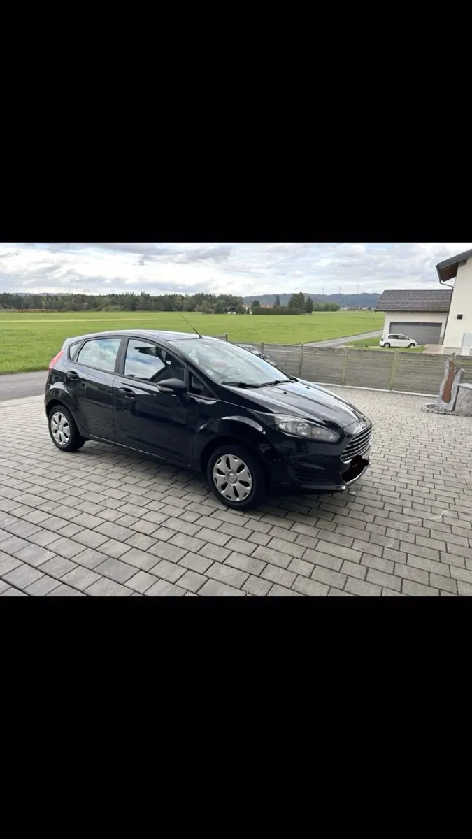 Ford Fiesta 2015 photo 3