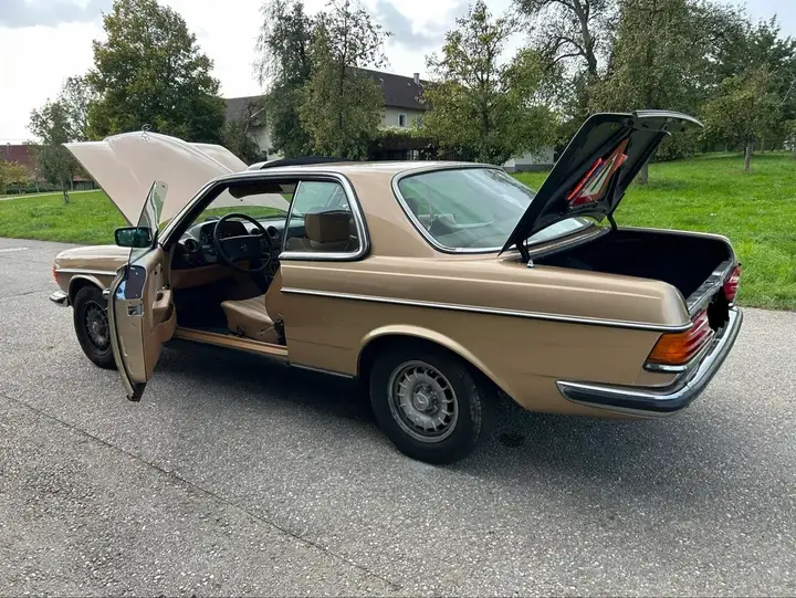 Mercedes-Benz E-Class 1979 photo 2