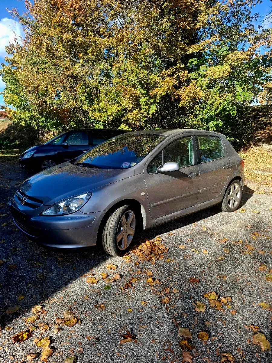 Peugeot 307