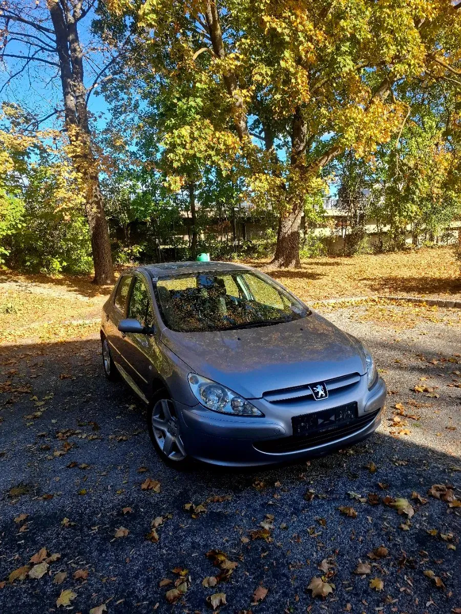 Peugeot 307 2004 photo 2