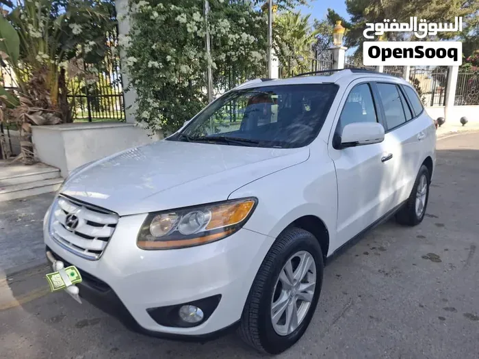 Hyundai Santa Fe 2011 photo 3