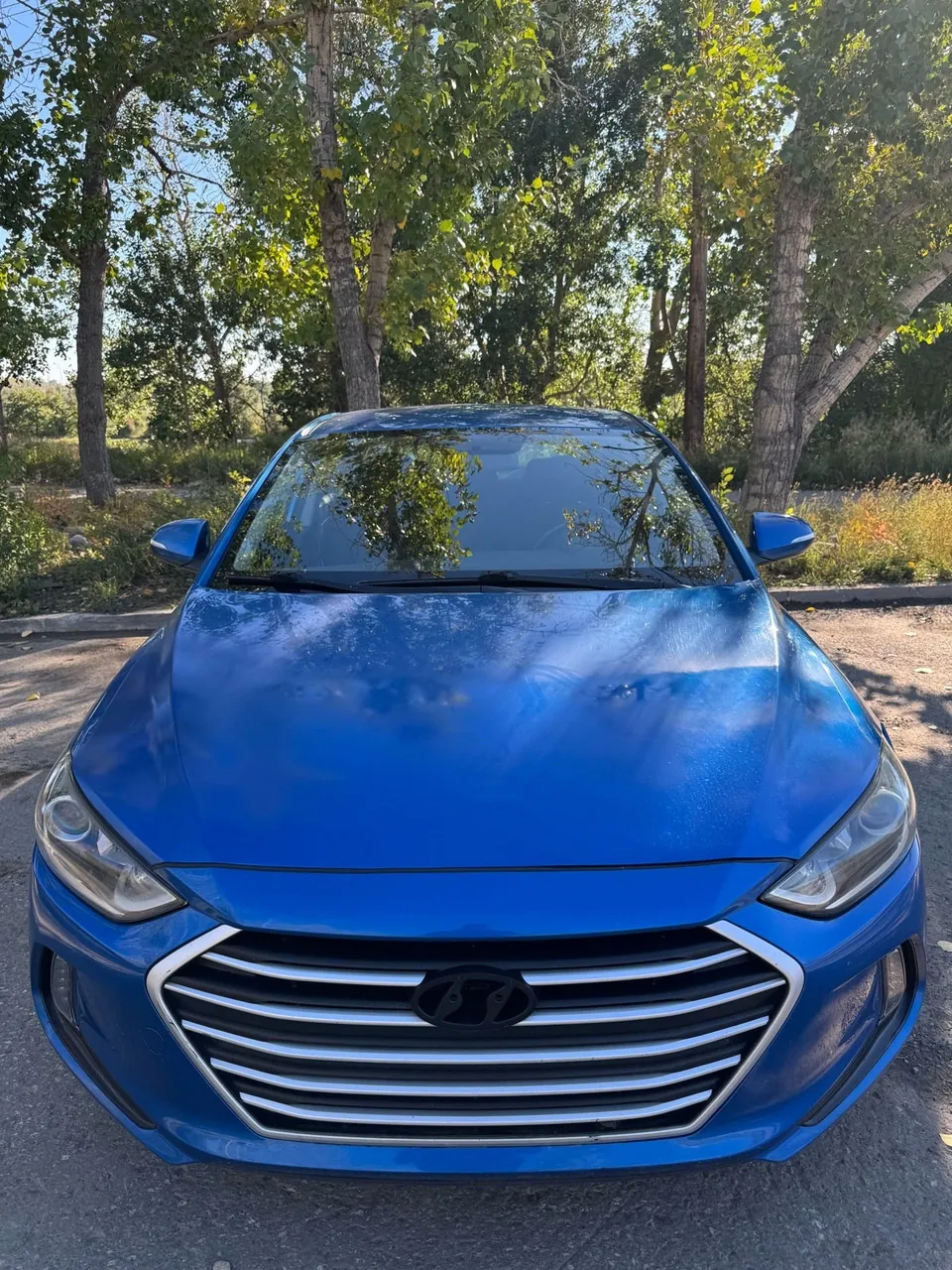 Hyundai Elantra 2017 photo 3