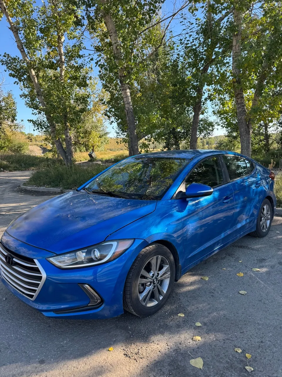 Hyundai Elantra 2017 photo 2