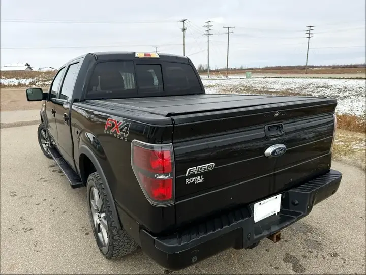 Ford F-150 2013 photo 5