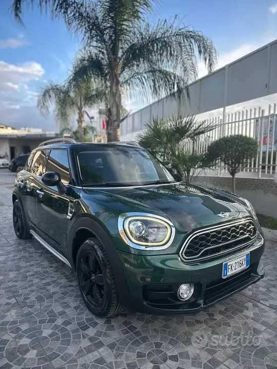 Mini Countryman