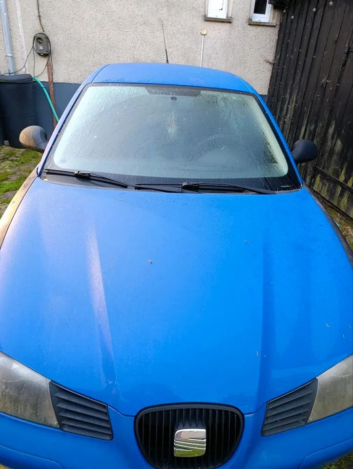 Seat Ibiza