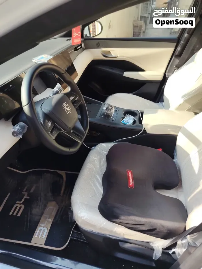 BYD Qin Plus 2025 photo 2