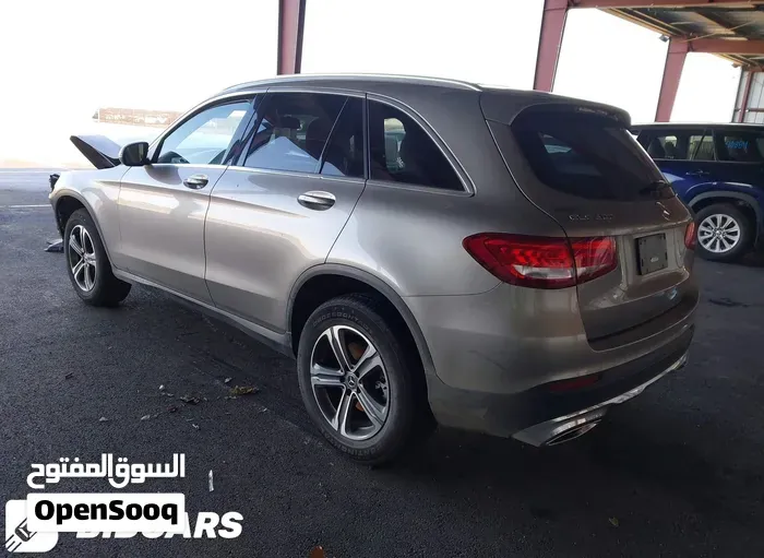 Mercedes-Benz Glc 300 2019 photo 2