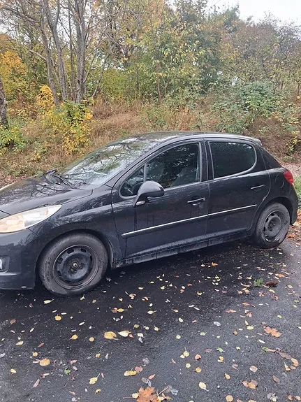 Peugeot 207 2011 photo 4