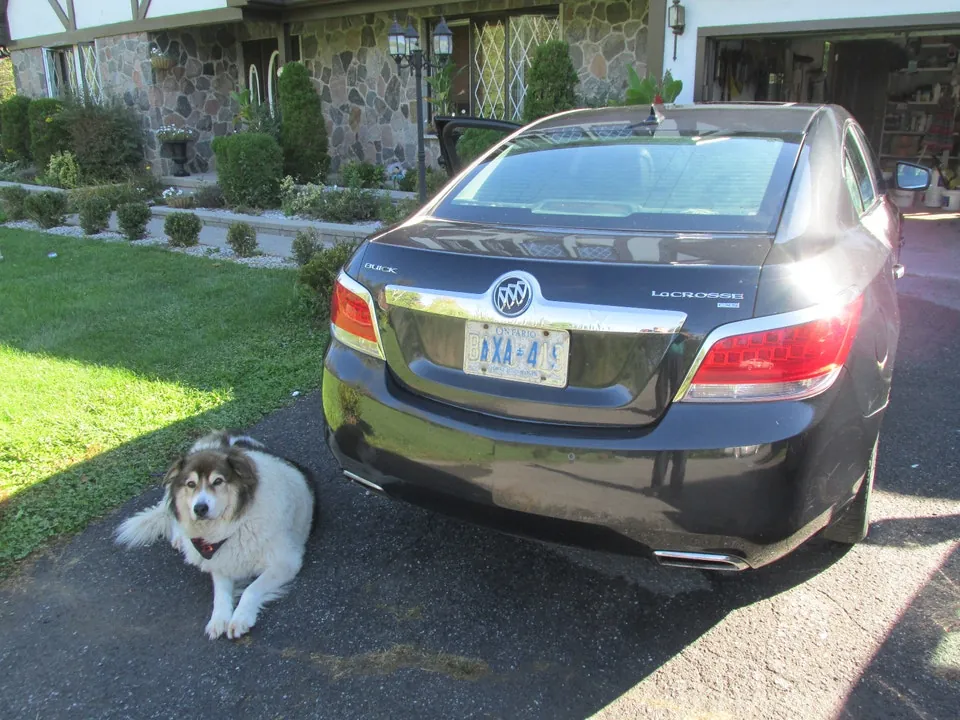 Buick Lacrosse 2010 photo 4
