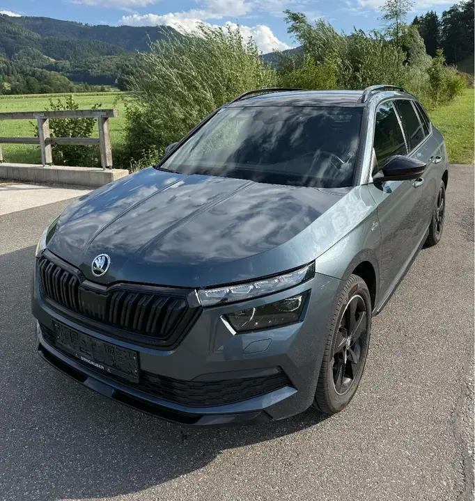 Skoda Kamiq 2020 photo 2