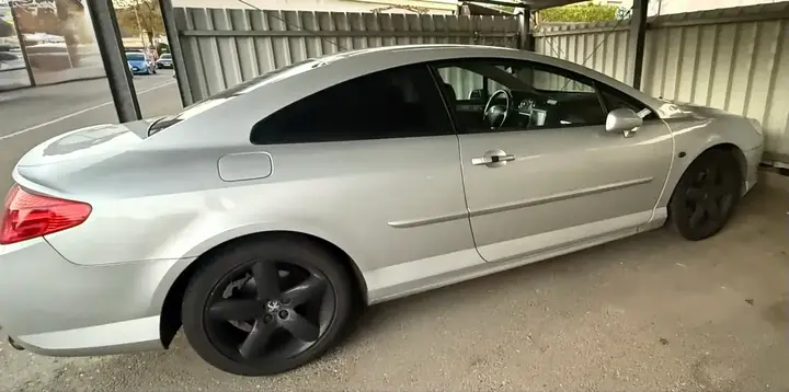 Peugeot 407 2006 photo 2