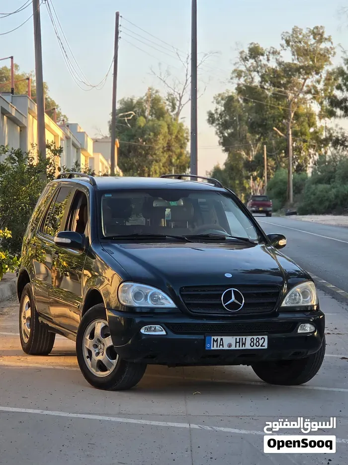 Mercedes-Benz M-Class 2004 photo 2