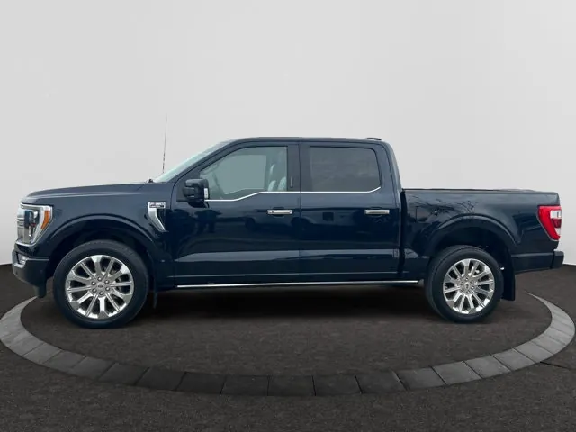 Ford F-150 2021 photo 2