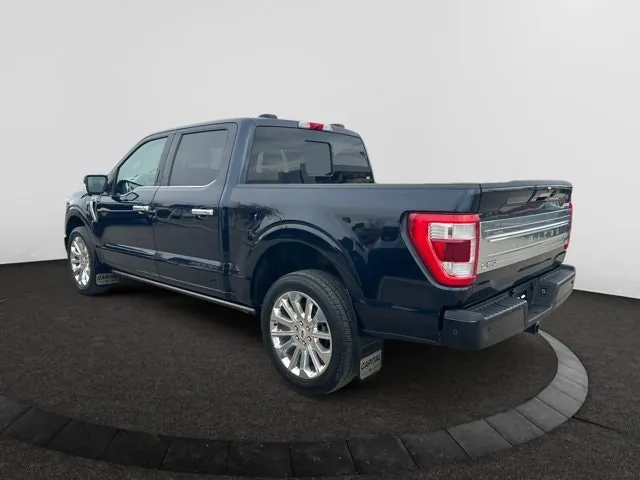 Ford F-150 2021 photo 3