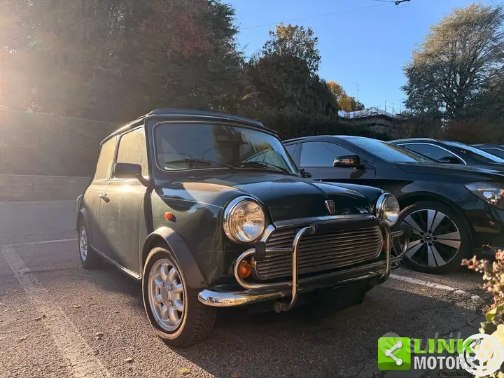 Rover Mini