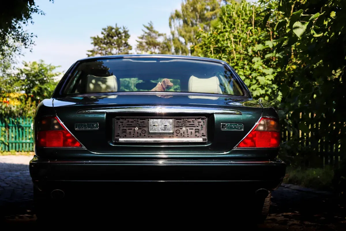 Jaguar Xj 1997 photo 3