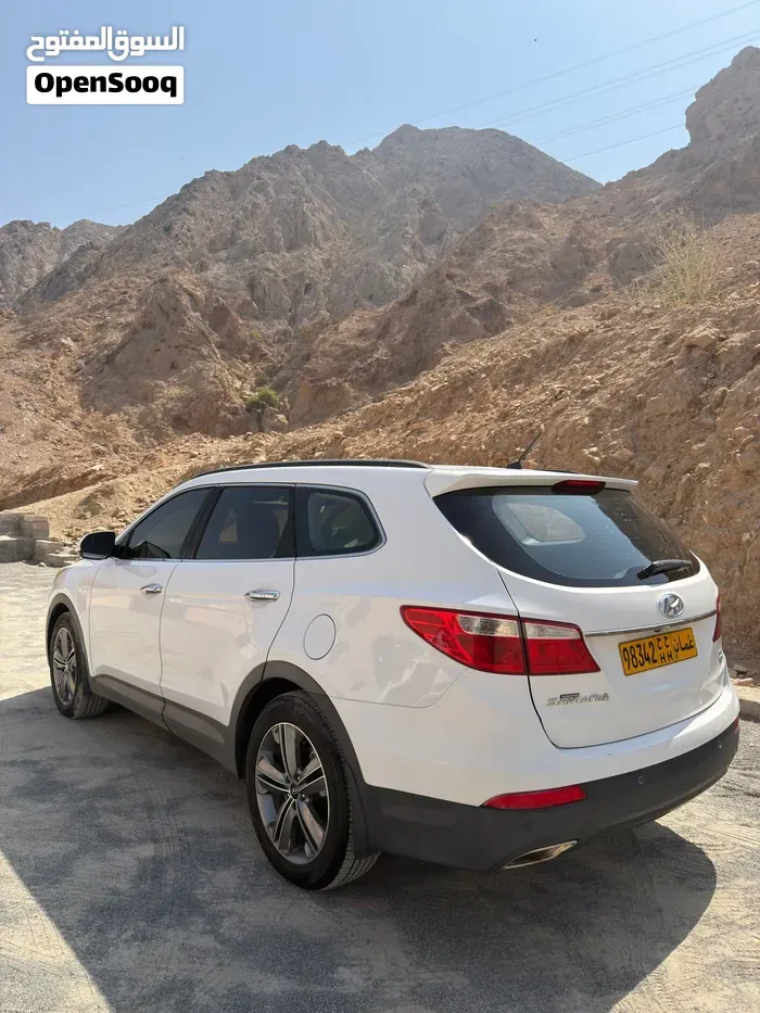 Hyundai Santa Fe 2014 photo 2