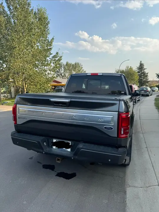 Ford F-150 2015 photo 3