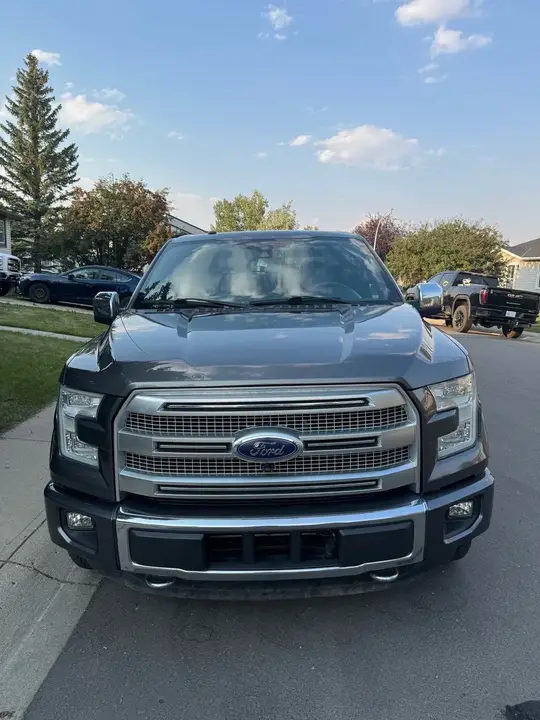 Ford F-150 2015 photo 2