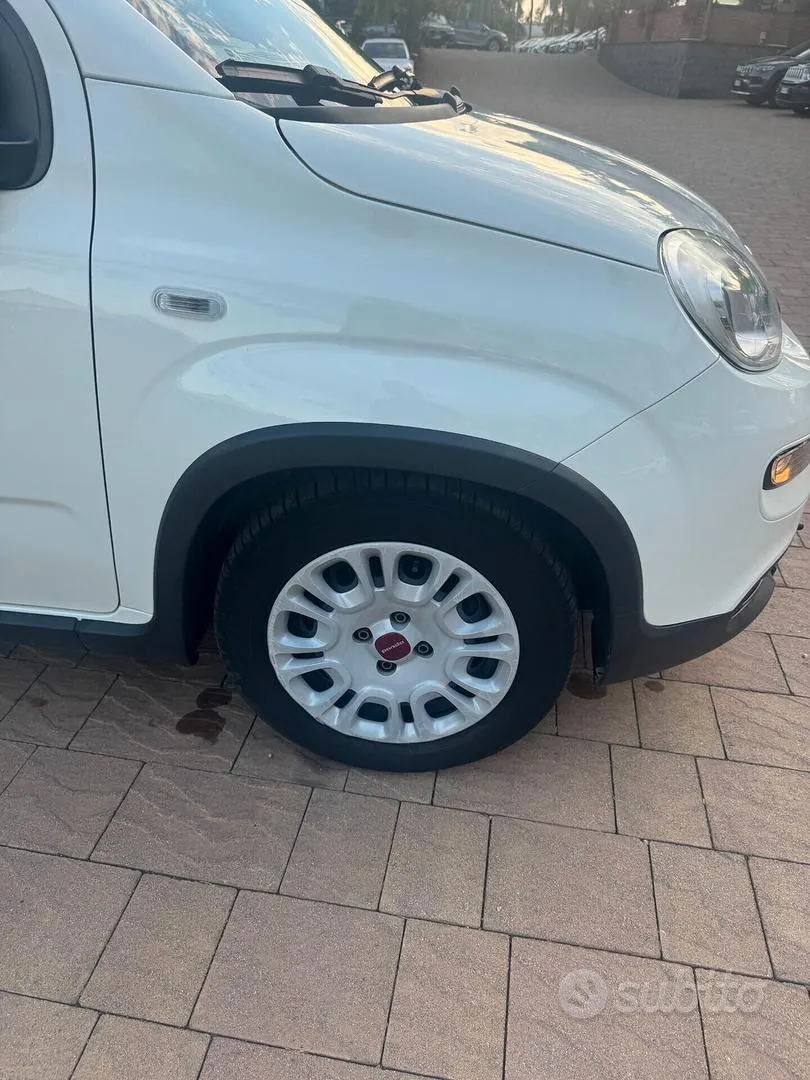 Fiat Panda 2024 photo 2