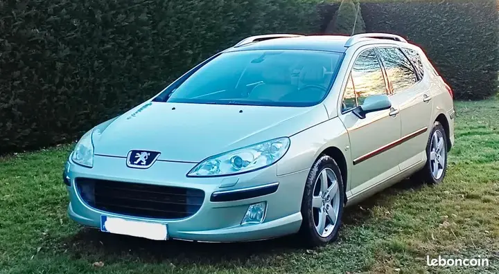 Peugeot 407 2005 photo 2