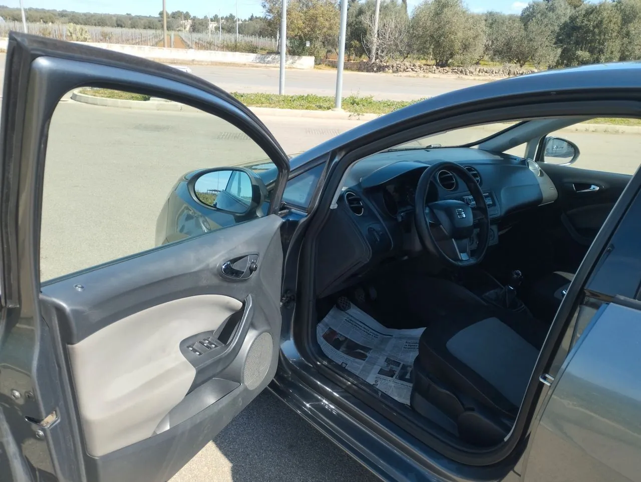 Seat Ibiza 2014 photo 4