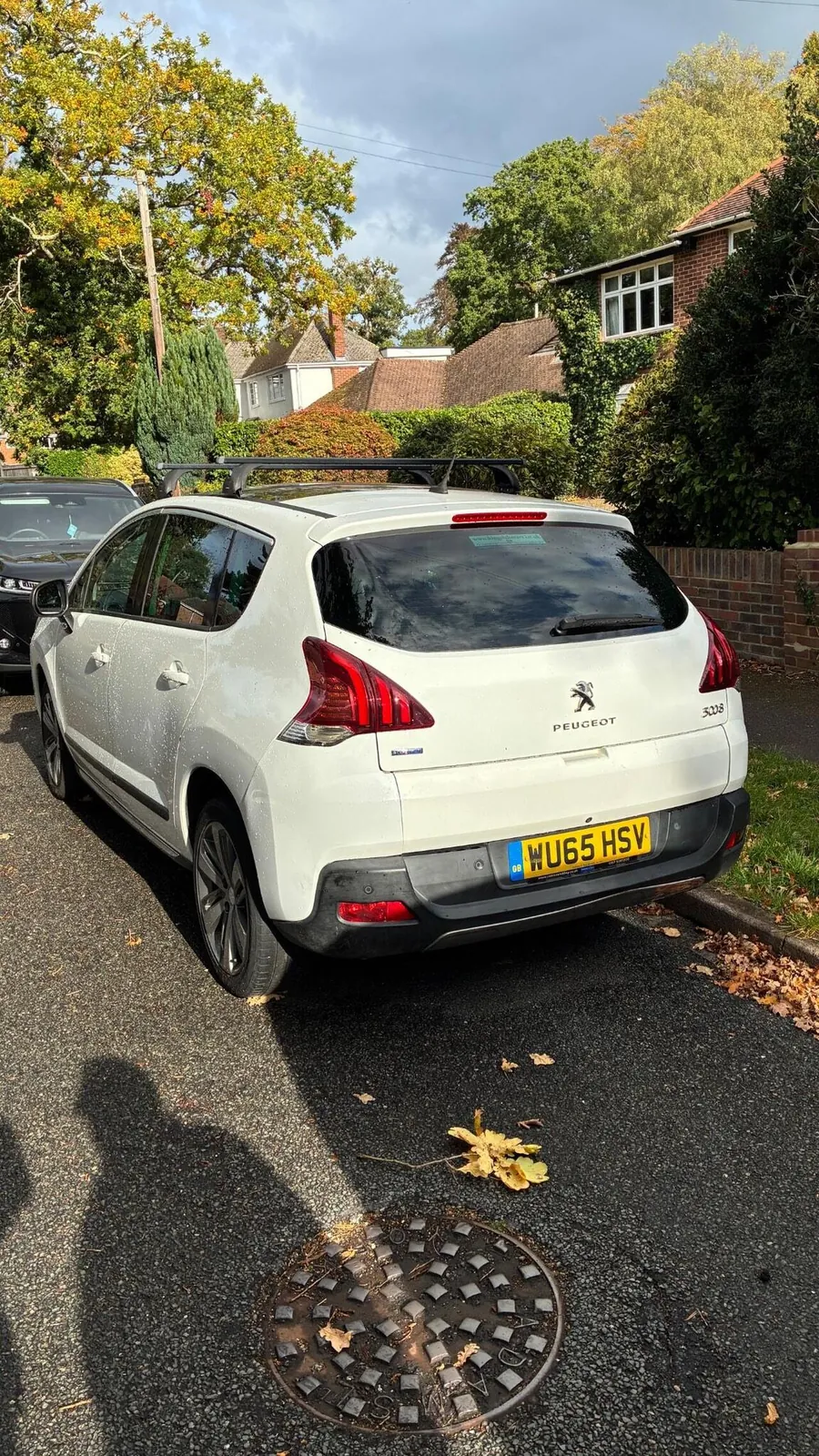 Peugeot 3008 2015 photo 3