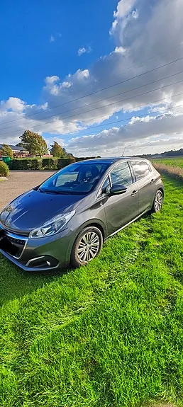 Peugeot 208 2019 photo 2