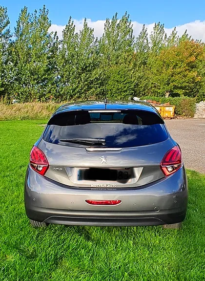 Peugeot 208 2019 photo 3