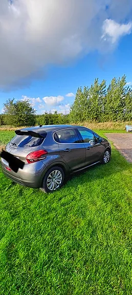 Peugeot 208 2019 photo 4