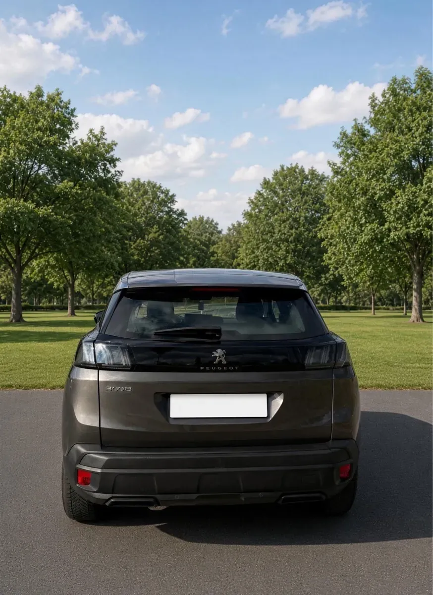 Peugeot 3008 2021 photo 3