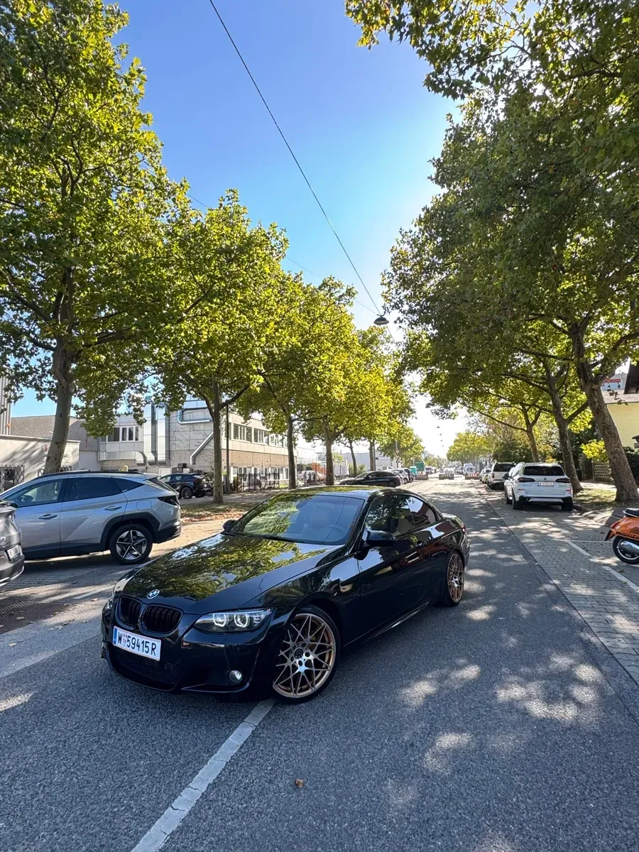 BMW 3 Series 2009 photo 2