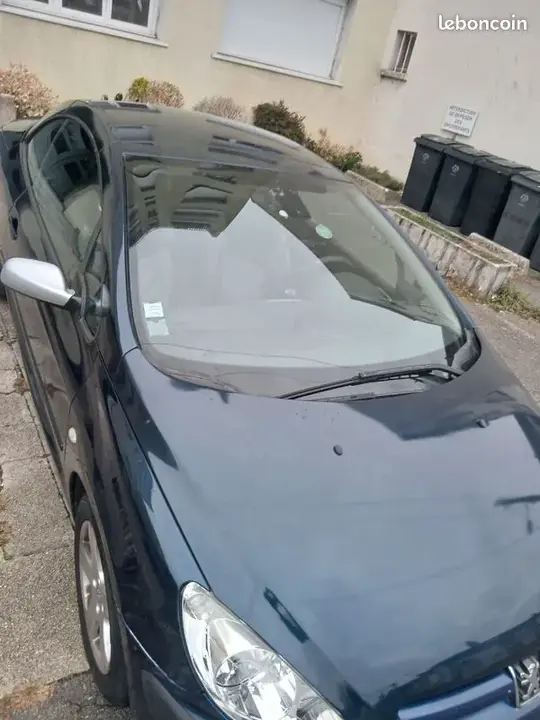 Peugeot 307 2004 photo 2