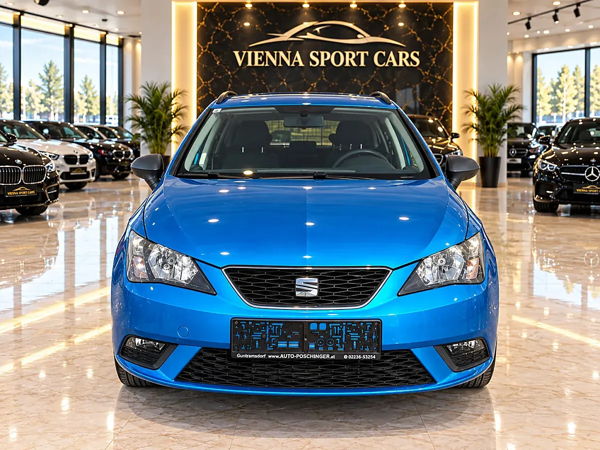 Seat Ibiza 2016 photo 2