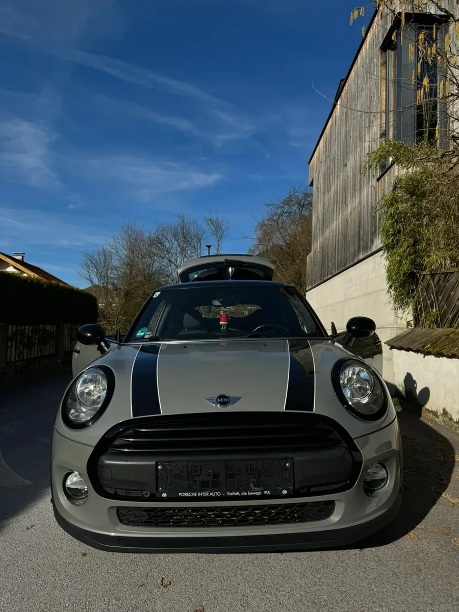 Mini Mini