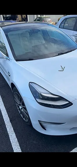 Tesla Model 3 2019 photo 4