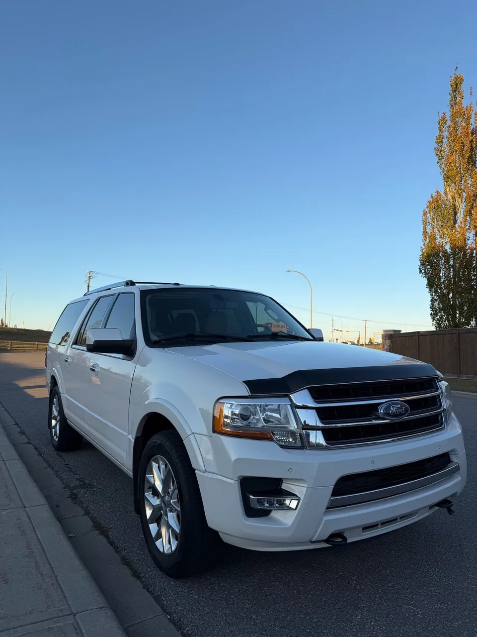 Ford Expedition 2017 photo 2