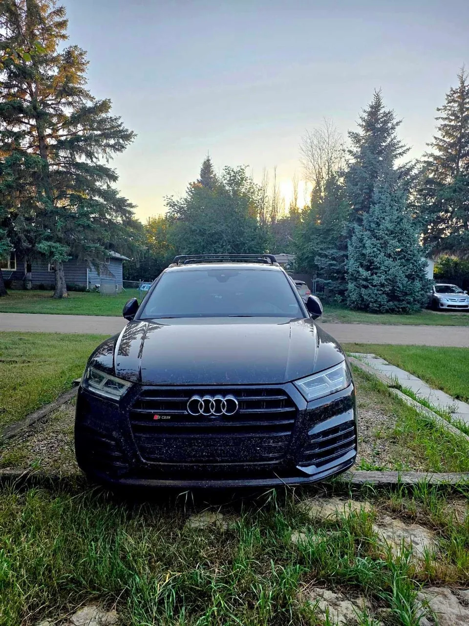 Audi Sq5 2019 photo 4