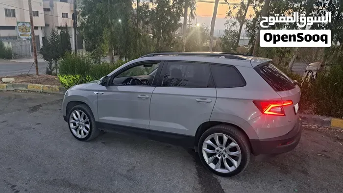 Skoda Karoq 2019 photo 3