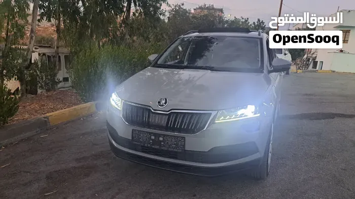 Skoda Karoq 2019 photo 4