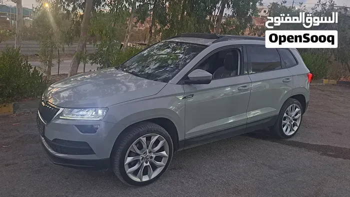 Skoda Karoq 2019 photo 2